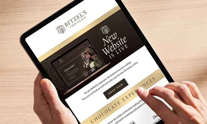 Email Campaigns